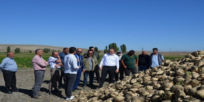 Bulanık Kaymakam Koşansu, şeker pancarı hasadı yapan çiftçileri ziyaret etti