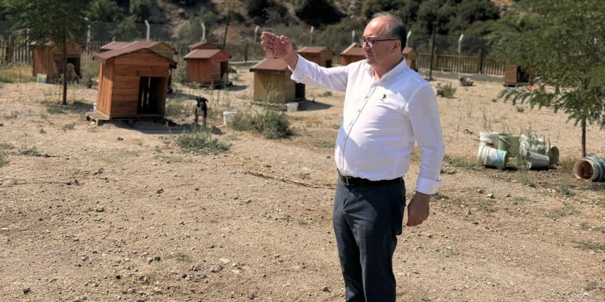 Buldan’da tepkiler artınca, Başkan barınağa gidip poz verdi