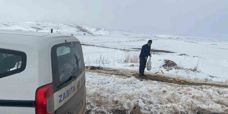 Bünyan Belediyesi’nden sokaktaki hayvanlarına yardım eli