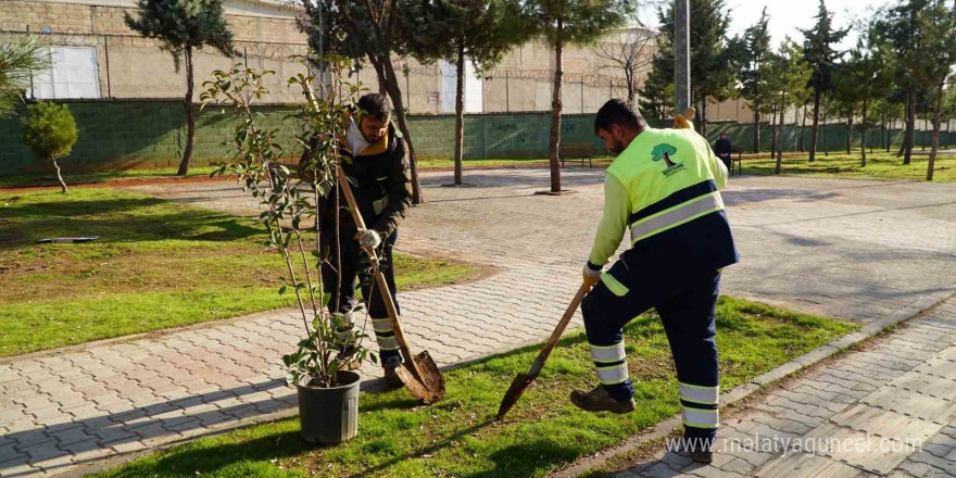 Burak Mahallesi’nde hasret sona erdi