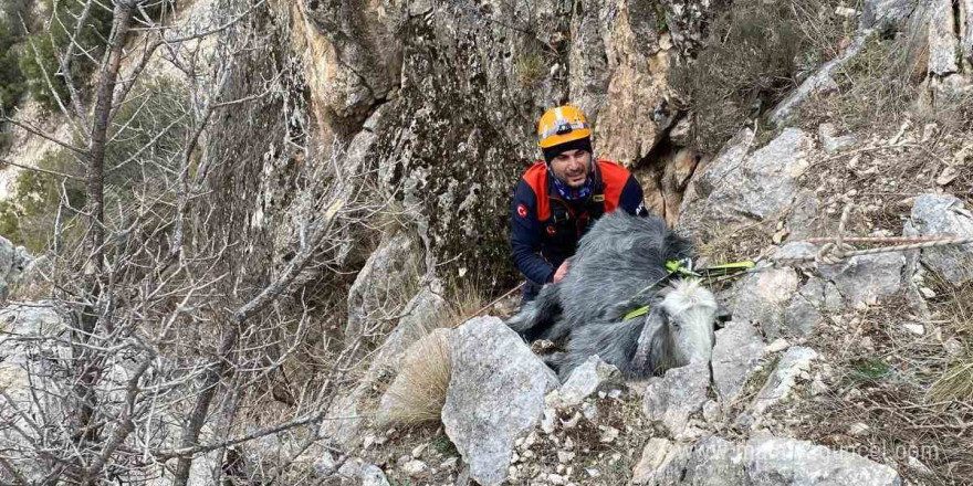 Burdur’da dağlık alanda mahsur kalan keçi kurtarıldı