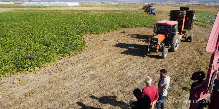 Burdur’da şeker pancarı hasadında yüksek rekolte beklentisi