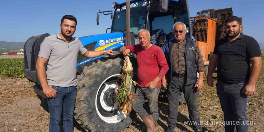 Burdur’da şeker pancarı hasadında yüksek rekolte beklentisi