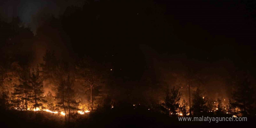 Bursa-Balıkesir il sınırındaki orman yangınına 8. saatinde müdahale devam ediyor