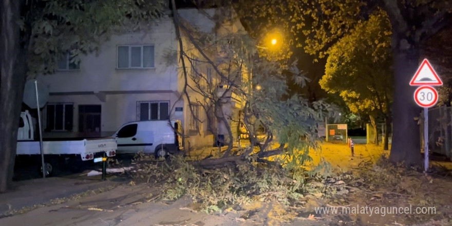 Bursa Büyükşehir Belediyesi lodosa karşı uyardı