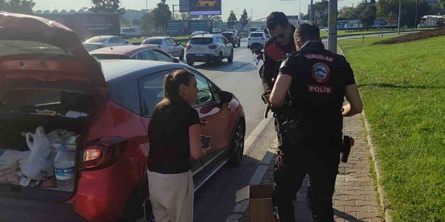 Bursa’da trafikte yavru kedi alarmı..Polisler 4 araca giren kediyi kurtardı