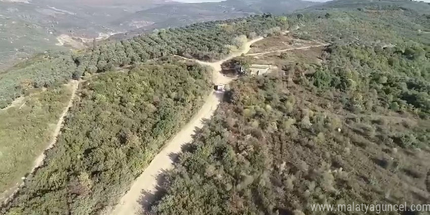 Bursa’da zeytin hırsızlarına dronlu denetim