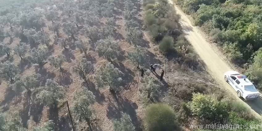 Bursa’da zeytin hırsızlarına dronlu denetim