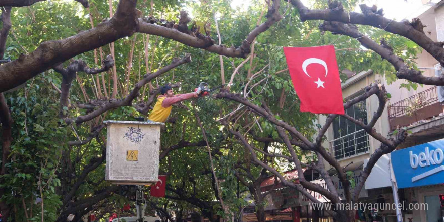 Büyükşehir İncirliova’da ağaçları budadı, vatandaşlar rahat bir nefes aldı