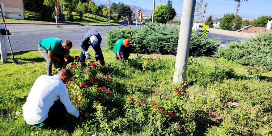 Büyükşehir, yabancı otlarla mücadele ve bakım çalışmalarına hız verdi