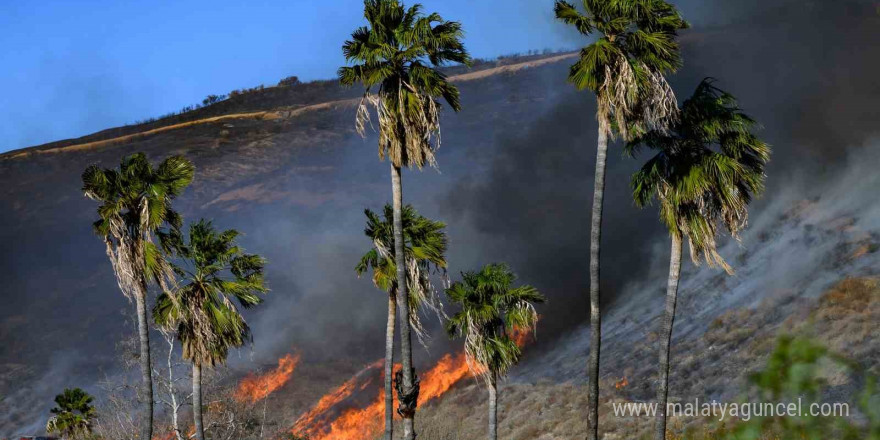 California’da çıkan yeni yangın kontrol altına alındı, 1 kişi gözaltında