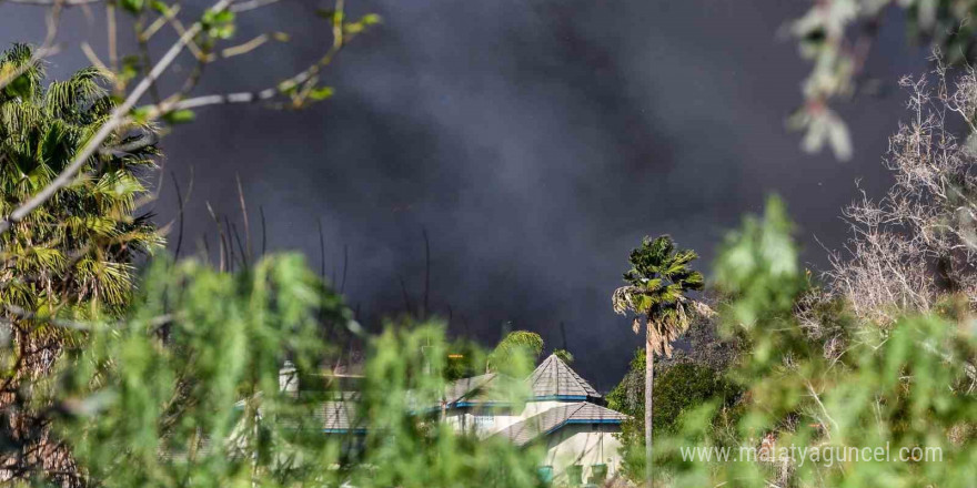 California’da çıkan yeni yangın kontrol altına alındı, 1 kişi gözaltında