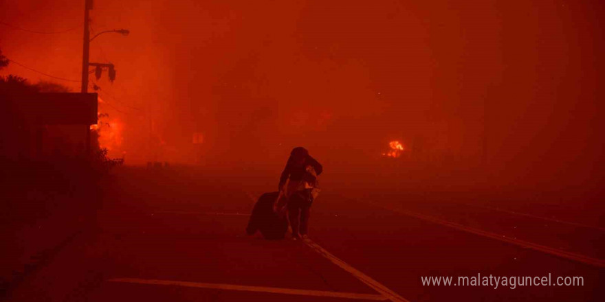 California’da orman yangını: 3 bin 983 dönüm arazi küle döndü