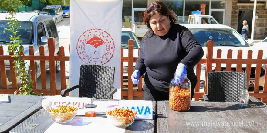 Çameli’nde kadınlara doğal yollarla ‘alıç sirkesi’ yapımı eğitimi