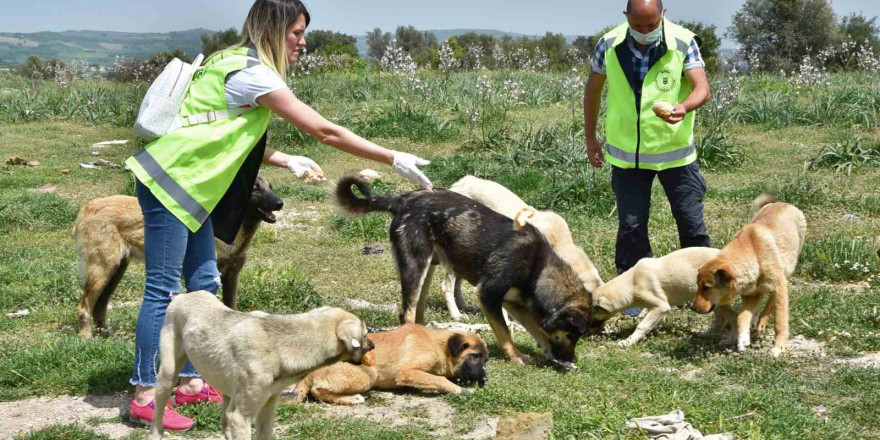 Can dostlara Büyükşehir şefkati