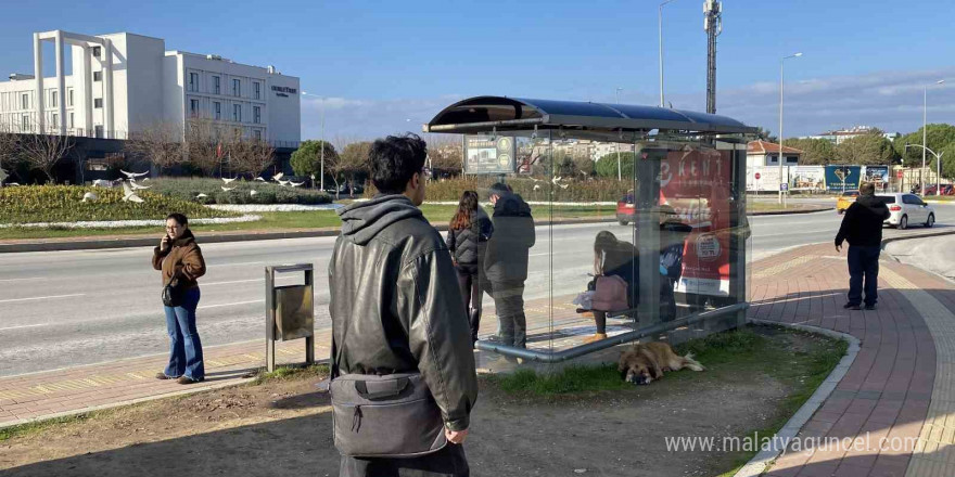 Çanakkale’de 4.4 büyüklüğünde deprem