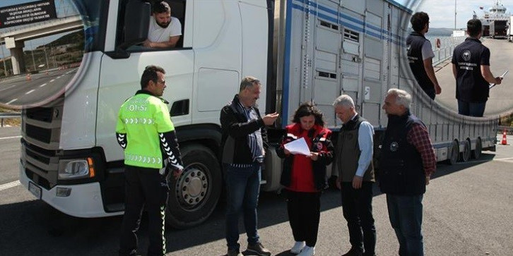 Çanakkale’de canlı hayvan nakil araçları kontrolleri sıklaştırıldı