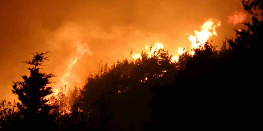 Çanakkale’de orman yangını devam ediyor