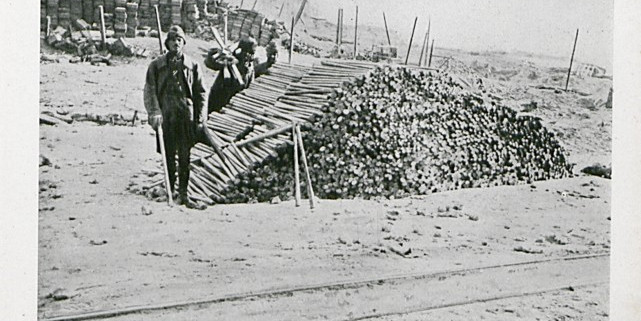 Çanakkale’de tarihi zafer İstanbul ve Anadolu’da sevinçle kutlanmış