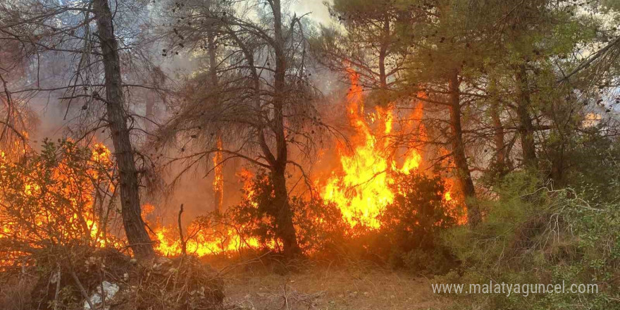 Çanakkale’deki orman yangınında 2 kişi gözaltına alındı