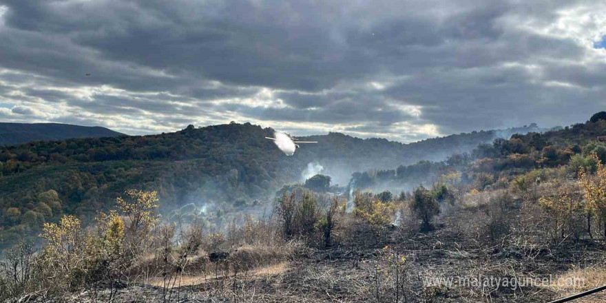 Çanakkale’deki yangında 2 hektarlık alan zarar gördü