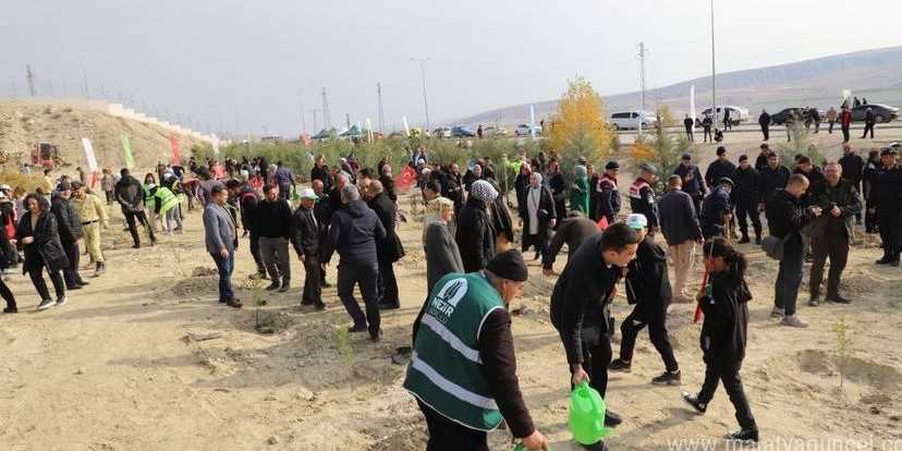 Çankırı’da fidanlar toprakla buluştu