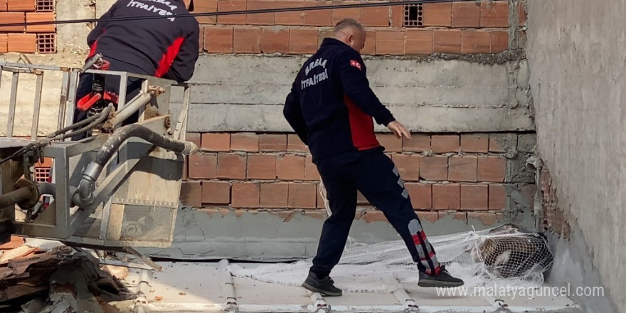 Çatıda akbabayı görenler telefona sarıldı