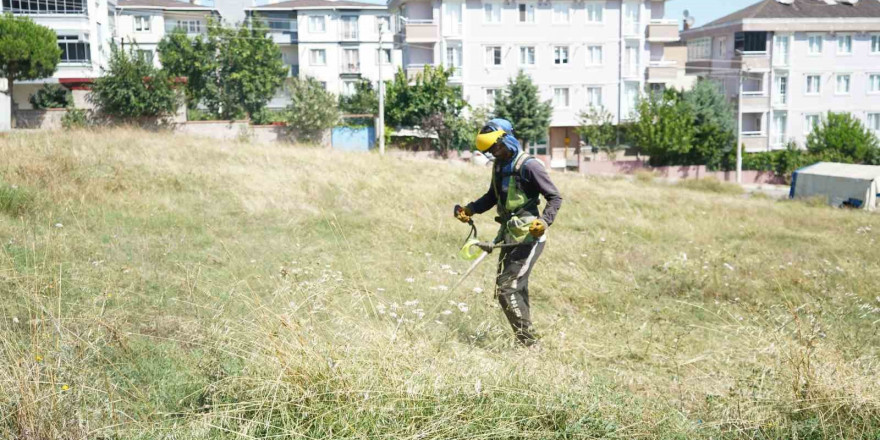 Çayırova’da yabani ot temizliği sürüyor