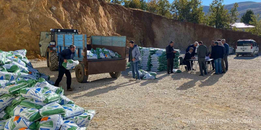 Çelikhan ilçesinde fiğ tohumu dağıtıldı