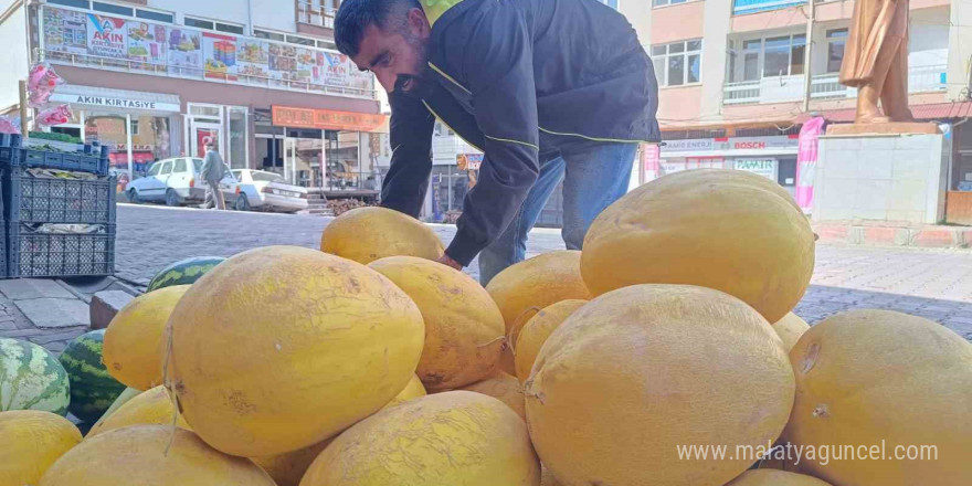 Çemişgezek’in her mevsime dirençli kış kavunu tezgahlardaki yerini aldı