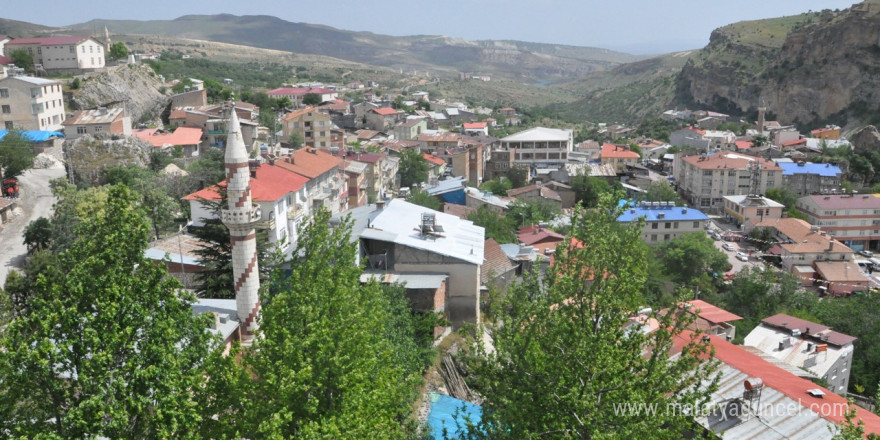 Çemişgezek’te koyun-keçi çiçek hastalığı görüldü