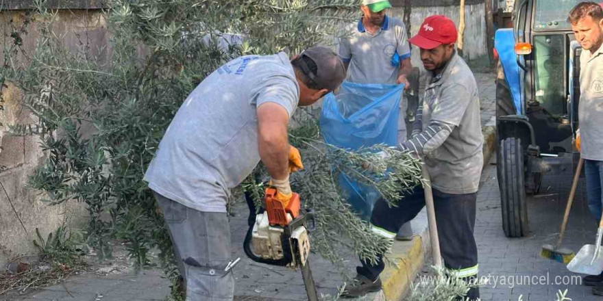 Çiçek gibi Nazilli için belediye ekipleri durmuyor