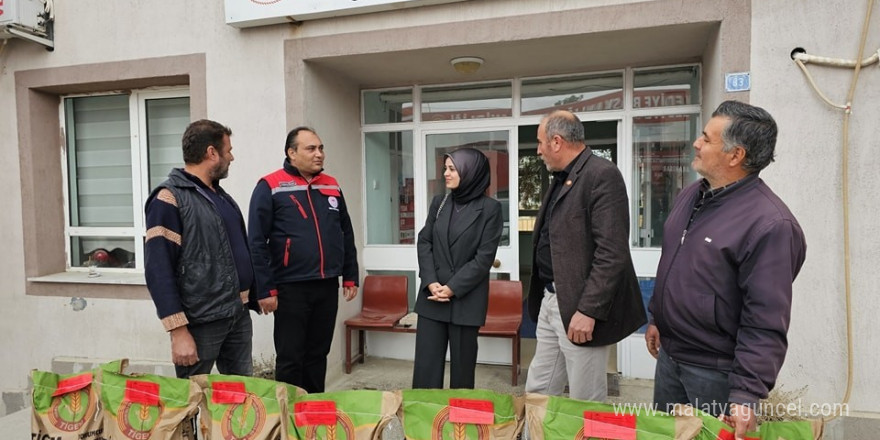 Çiftçilere hibe destekli buğday tohumu dağıtıldı