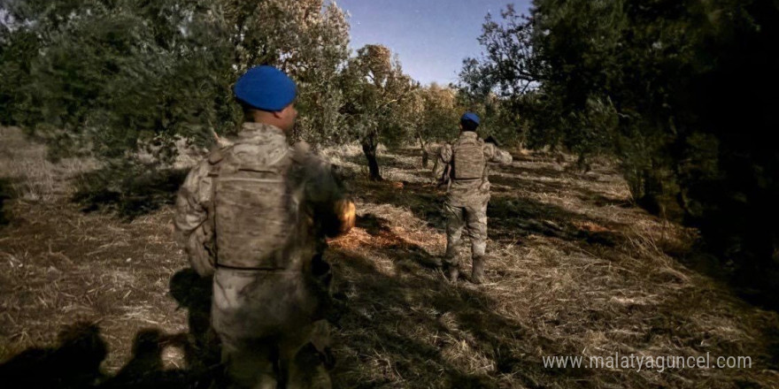 Çiftçinin zeytinine jandarma koruması