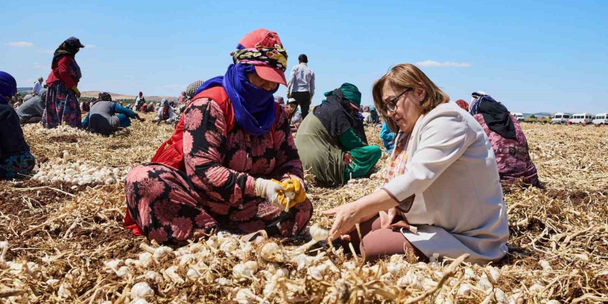 Çiftçiye 8 milyon 432 bin 925 litre mazot desteği verildi