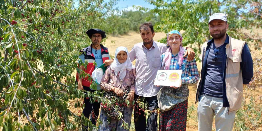 Coğrafi işaret onaylı Şaphane vişnesinin tescil ve kontrol çalışmaları