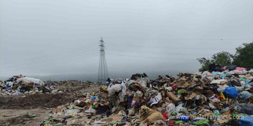 Çöp yığınları tehlike saçıyor