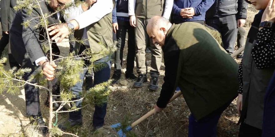 Çorum Valisi Dağlı, “20 yılda 94 milyon fidanı toprakla buluşturduk”