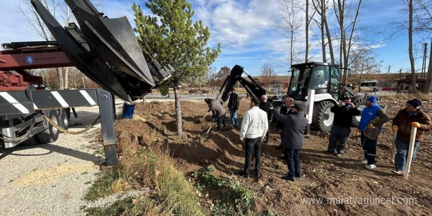 Çorum’un gözde mekanlarından olan Veli Çayırı’ndaki otopark yeşille buluşturuluyor