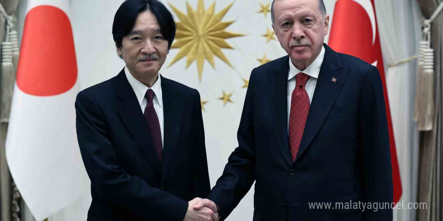 Cumhurbaşkanı Erdoğan, Japonya Veliaht Prensi Fumihito’yu kabul etti