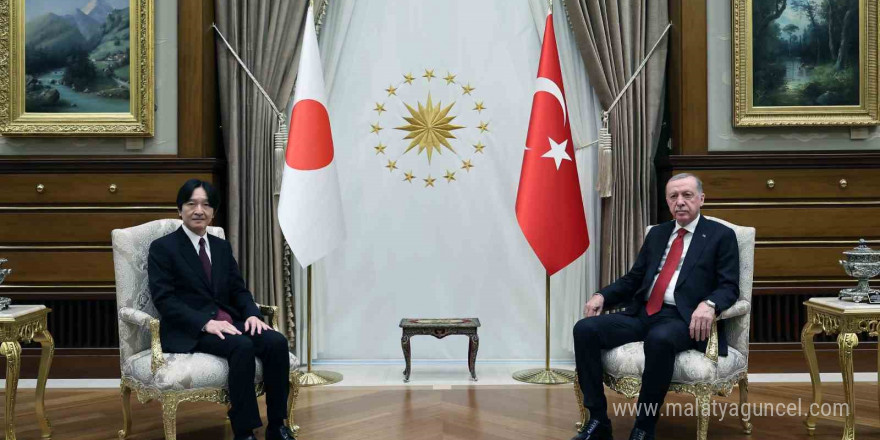 Cumhurbaşkanı Erdoğan, Japonya Veliaht Prensi Fumihito’yu kabul etti