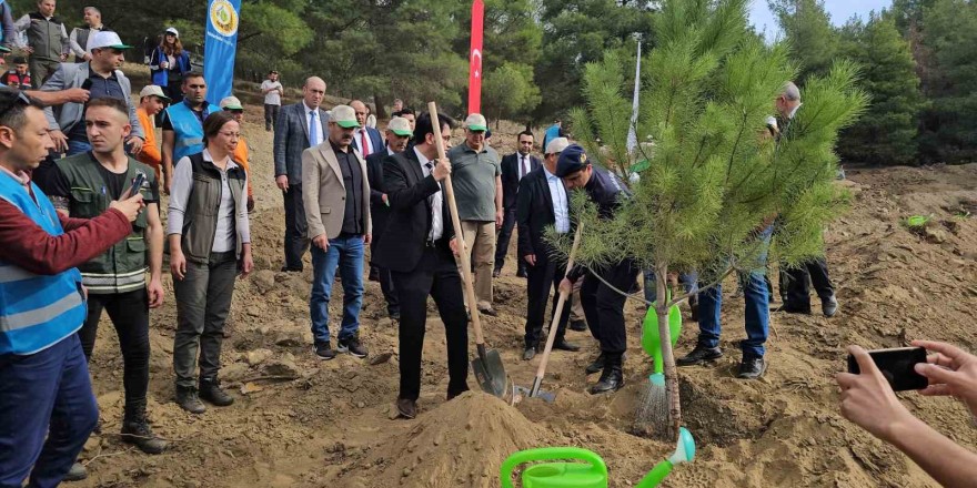 Cumhuriyete Nefes etkinliğinde binlerce fidan toprakla buluştu