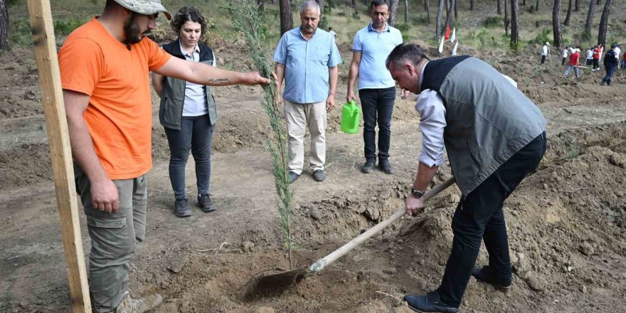 Cumhuriyet’in 100’üncü yılında 1923 fidan dikildi