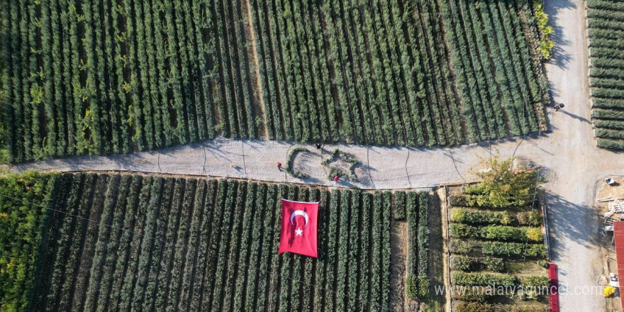 Cumhuriyetin 101 için zeytin fidanlarıyla Türk Bayrağı’nı oluşturdu