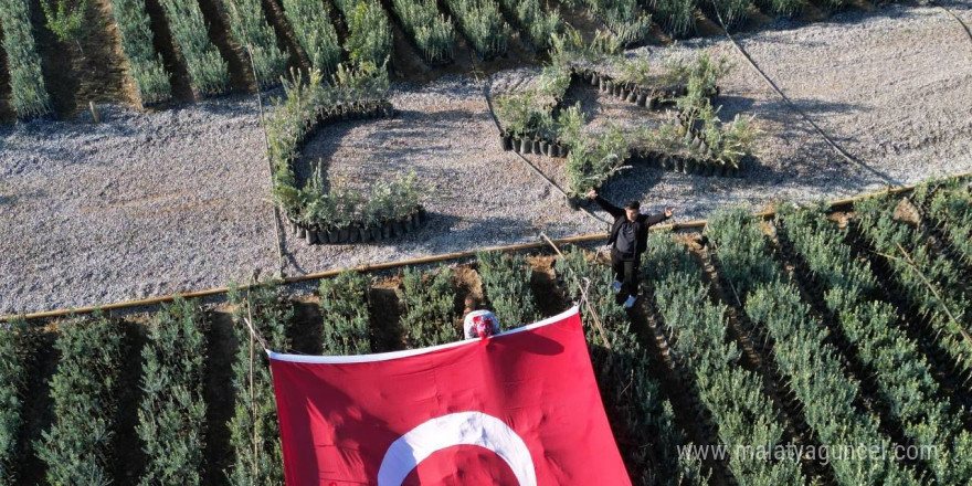 Cumhuriyetin 101 için zeytin fidanlarıyla Türk Bayrağı’nı oluşturdu