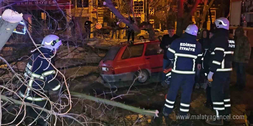 Çürüyen ağaç otomobilin üzerine devrildi