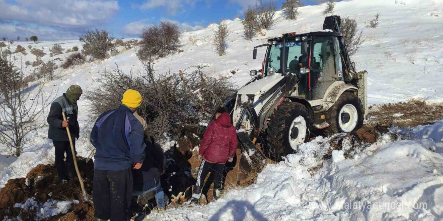 Dağda mahsur kalan hayvanlar kurtarıldı