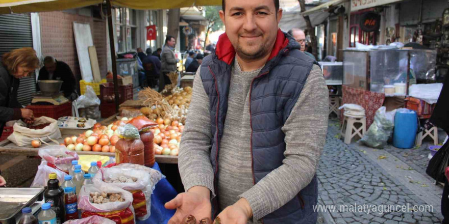 Dağlarda kendiliğinden yetişen beşbıyık tezgahlarda yerini aldı