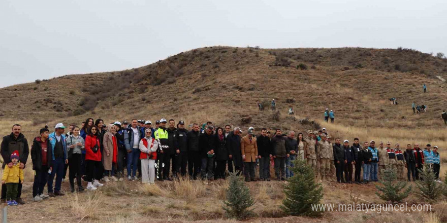 Daha yeşil bir Oltu için 2 bin fidan toprakla buluştu