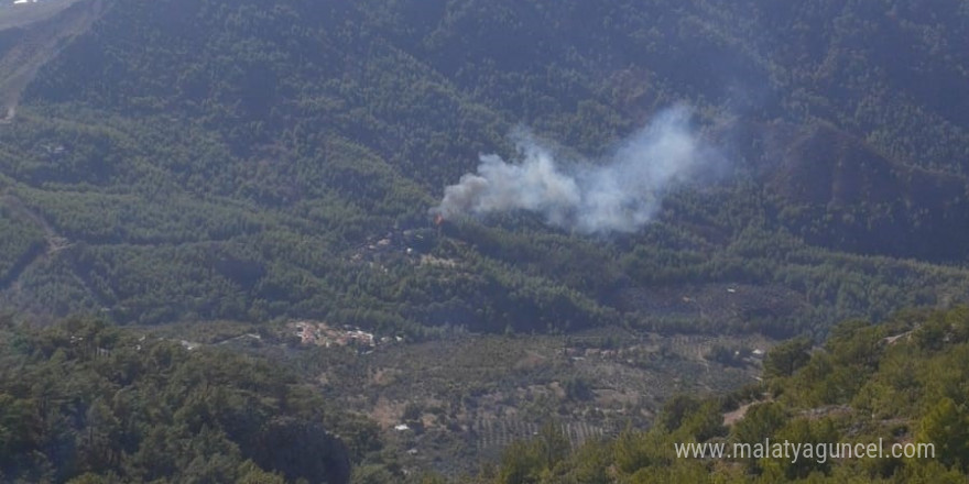 Dalaman’da Orman yangını